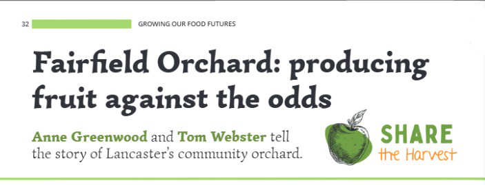 Thrive article headline: Fairfield Orchard: producing fruit against the odds. Anne Greenwood and Tom Webster tell the story of Lancaster's community orchard.