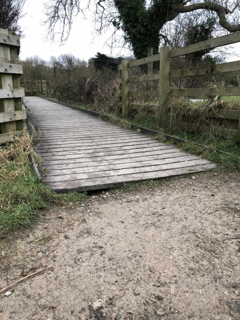 Fauna Path