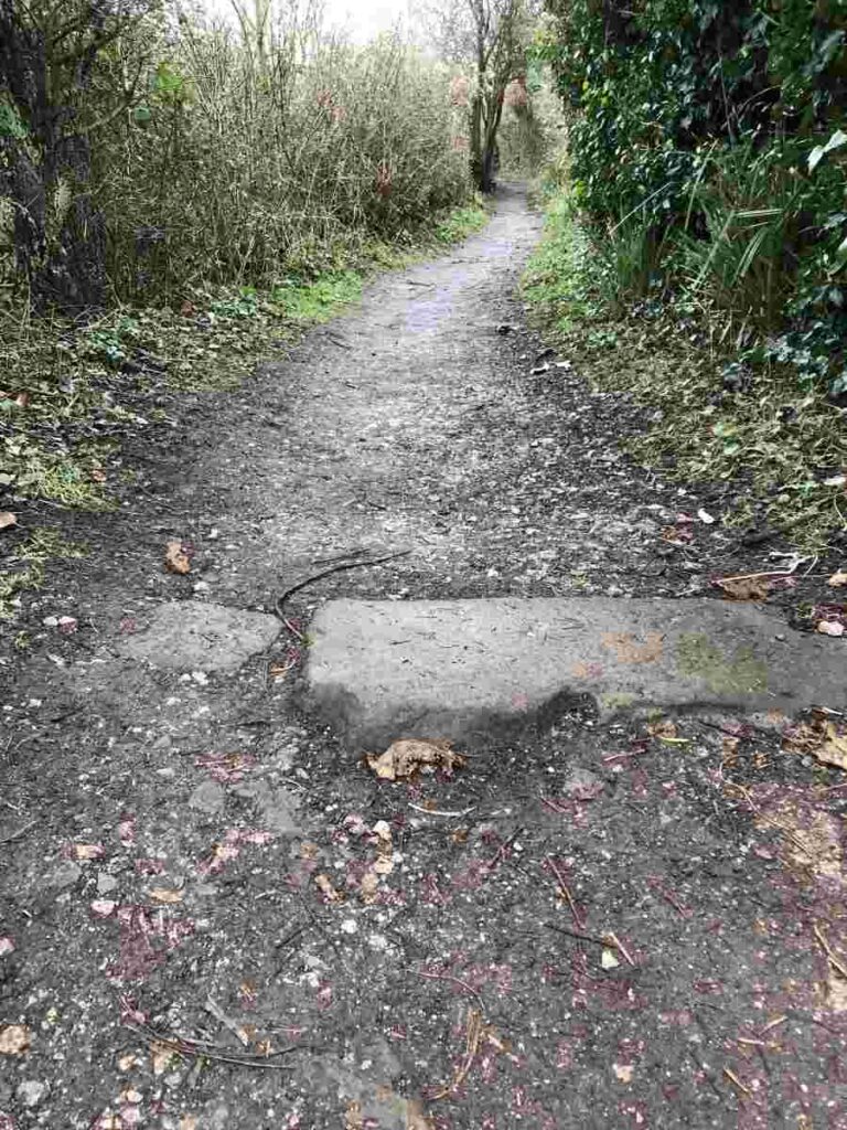 Long Pads Path