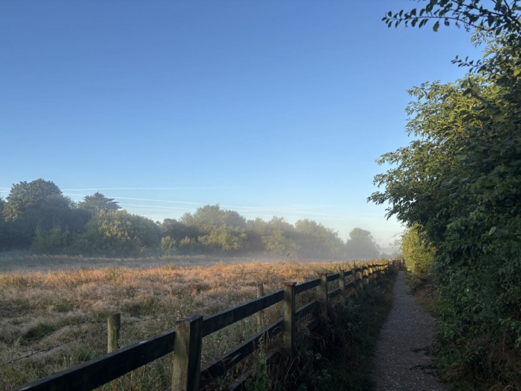 August: Misty morning (photo by Jan Brown)