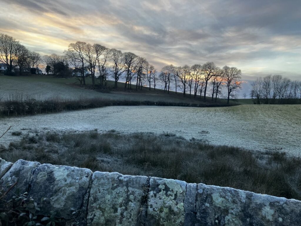 January: View across West Field to the Drumlins (photo by Ann Woodfine)