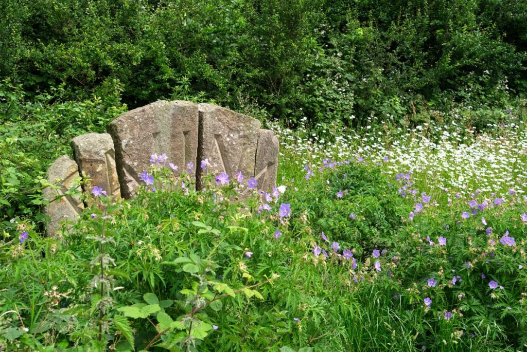 June: Fauna stones (photo by Peter Kay)