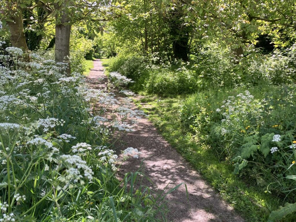 May: The Orchard path (photo by Ann Woodfine)