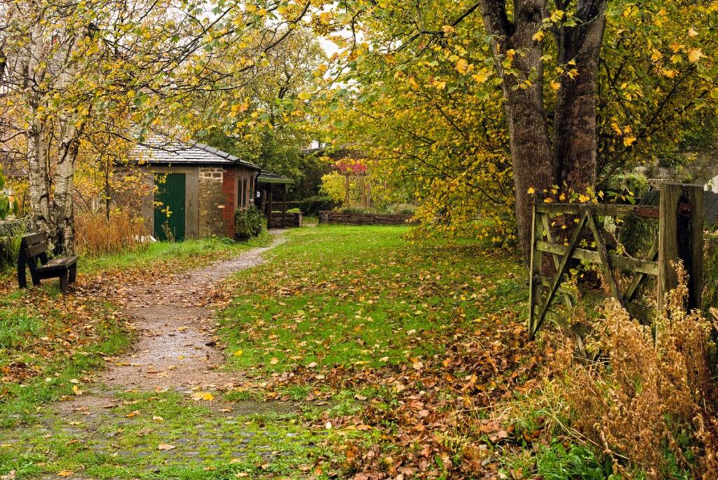 November: Autumn leaves in Aldcliffe Triangle (photo by Peter Kay)